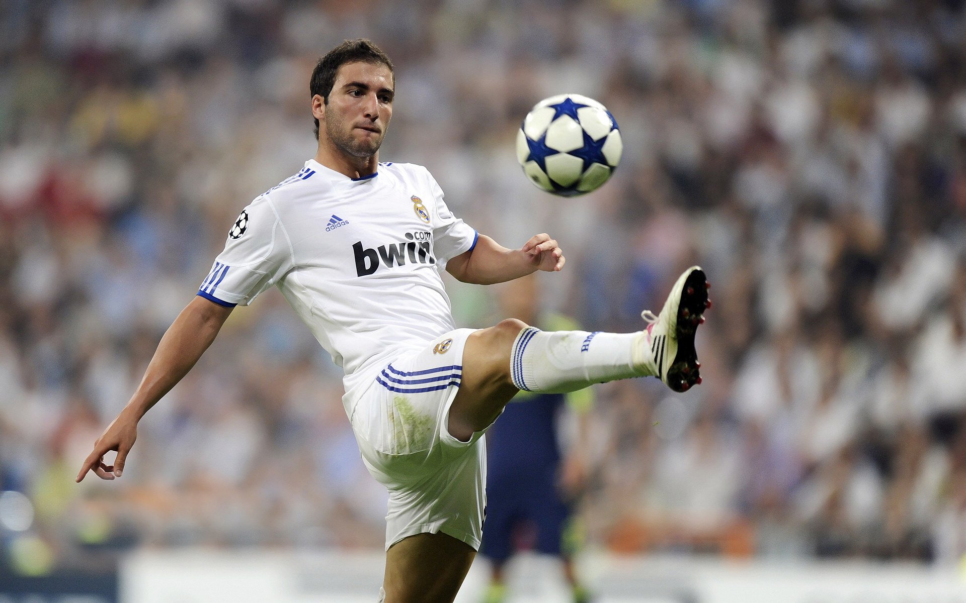 丹·卡特：突破传统踢球模式，引领全黑队的新攻势，丹.卡特